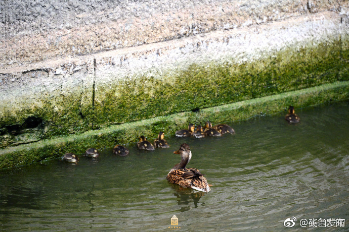 6月起故宫全年周一闭馆 让紫禁城休息一下