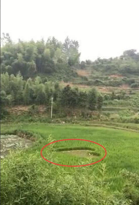 《向往的生活》拍摄地实照曝光,与节目落差明