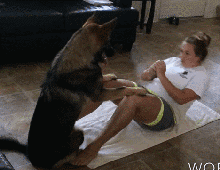 养狗千日,用狗一时,原来这才是狗子打开的正确方式!