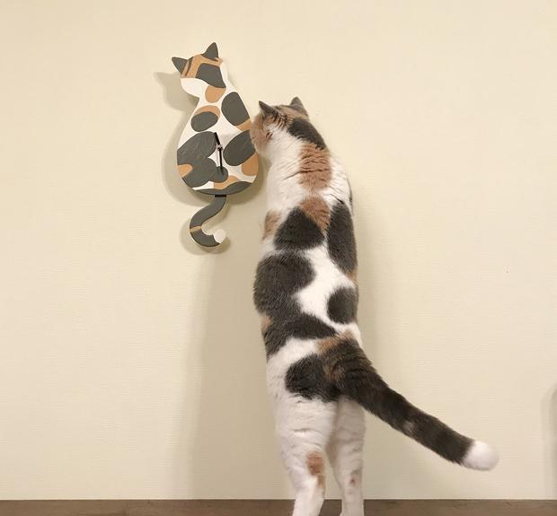 友按照猫咪背影制作时钟,这样每一分每一秒都