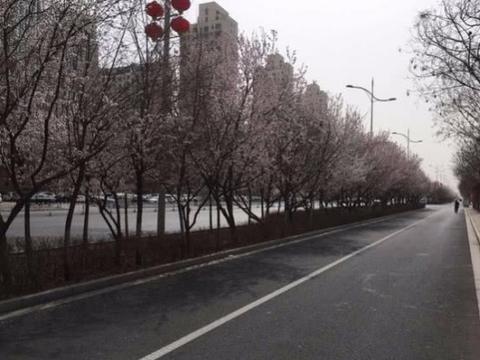 带着美女去踏青，这样的豪车男人必须有一辆！