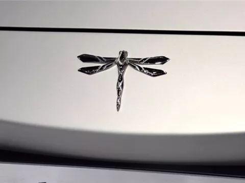 哭爷爷、告奶奶后，前途汽车终于拿到“出生证”了！