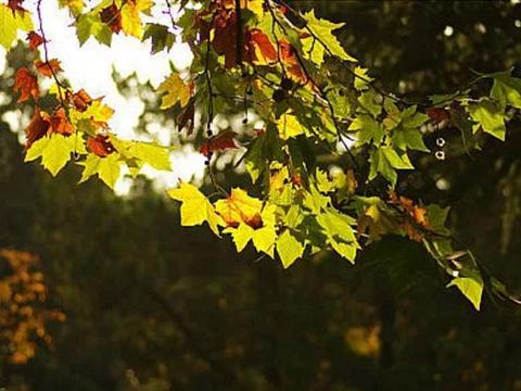 毕业旅行三个好去处！启辰T70/T90陪你悟人生真谛，寻旅行意义