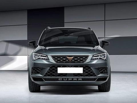 2.0T发动机300马力，德系高性能SUV火爆来袭，或18万