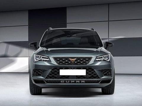 2.0T发动机300马力，德系高性能SUV火爆来袭，或18万