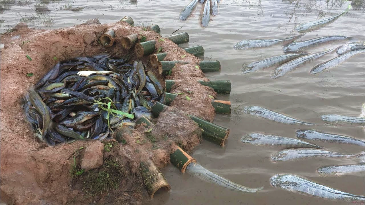 农村抽水洗澡神器学生寝室宿舍