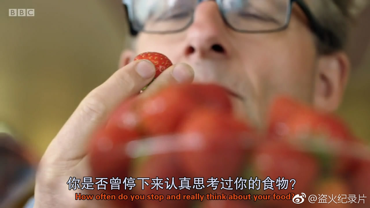 推荐一部我们盗火纪录片字幕组之前翻译的BB