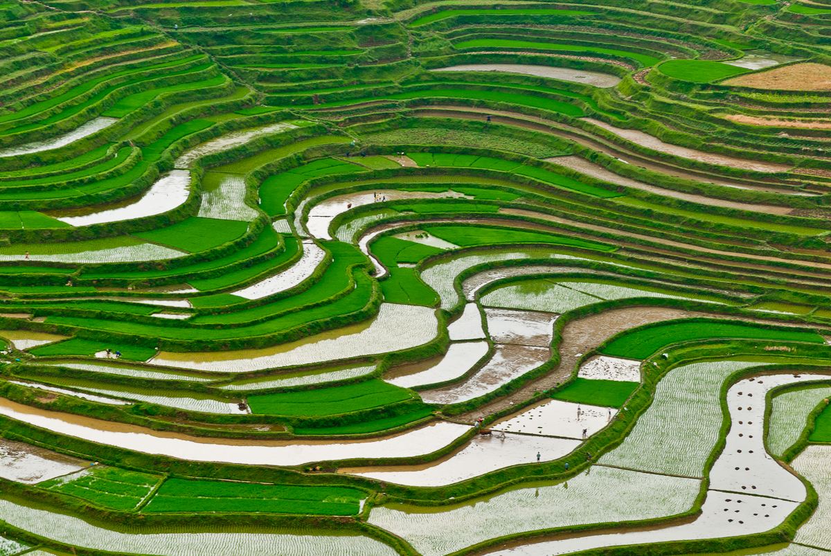 又到了梯田最美的时节:盘点贵州最值得去的十大梯田