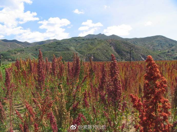 2018-2020全国文明城市提名城市名单公布