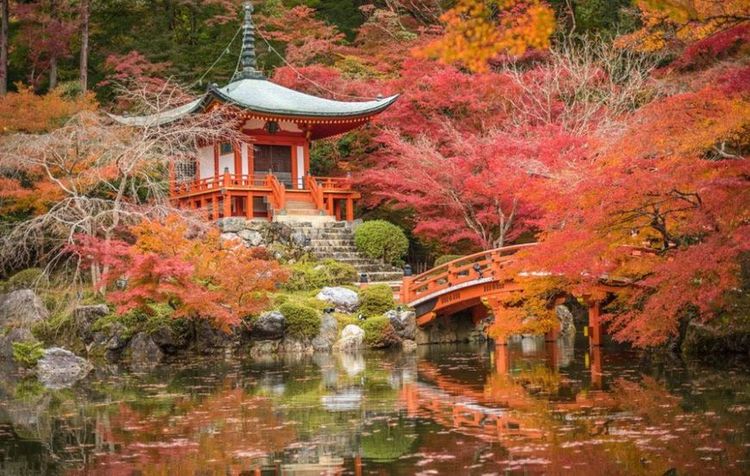 2018全球最安全国家榜单出炉,日本上榜了,中国