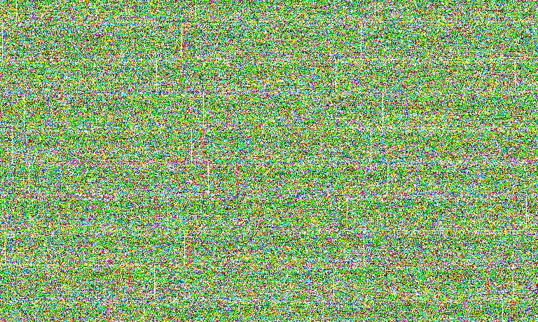 养公猫好还是母猫好?公猫与母猫的彻底比较