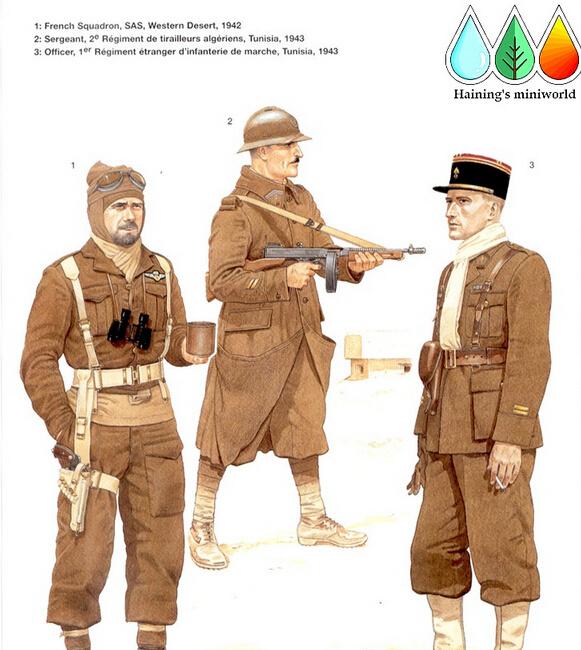 二战时如果日本对法国全面开战的话有胜算吗?