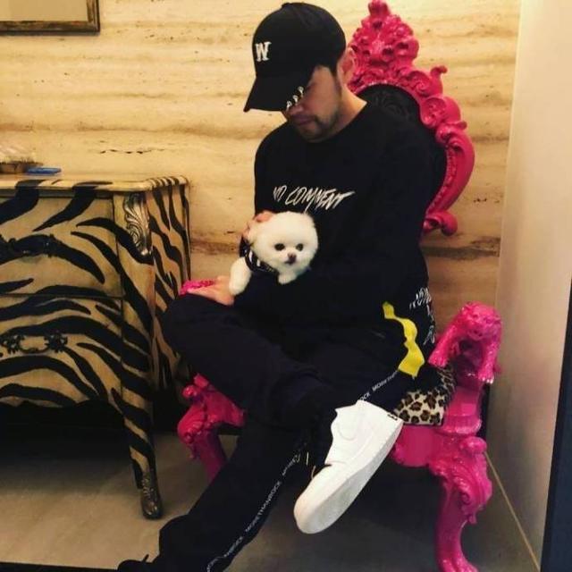 周杰伦昆凌把它捧上了天！这只狗上辈子可能拯救了整个银河系