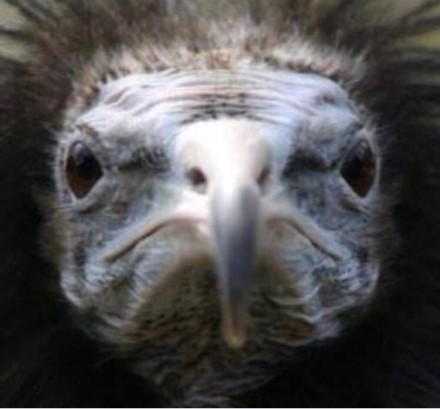 宝藏女孩沈月的微博就是一座富矿,这双3cm的