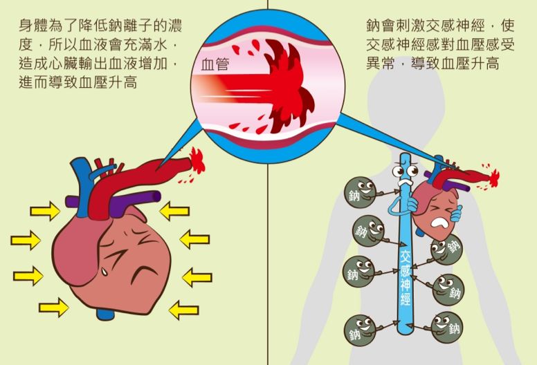 此外,英国的一项研究发现,食盐摄入量与甜饮料摄入量显著正相关。