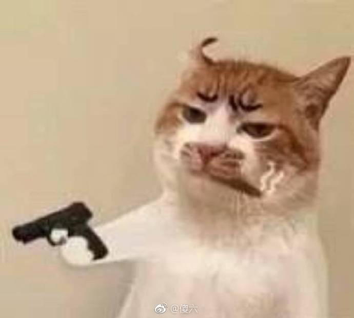 一组『沙雕猫狗』的表情包合集.