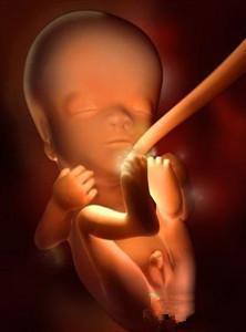 怀孕第10周: 女宝宝 怀孕第11周: 这个时间段的胎儿的主要器官都已经