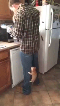 191_340gif 动态图 动图