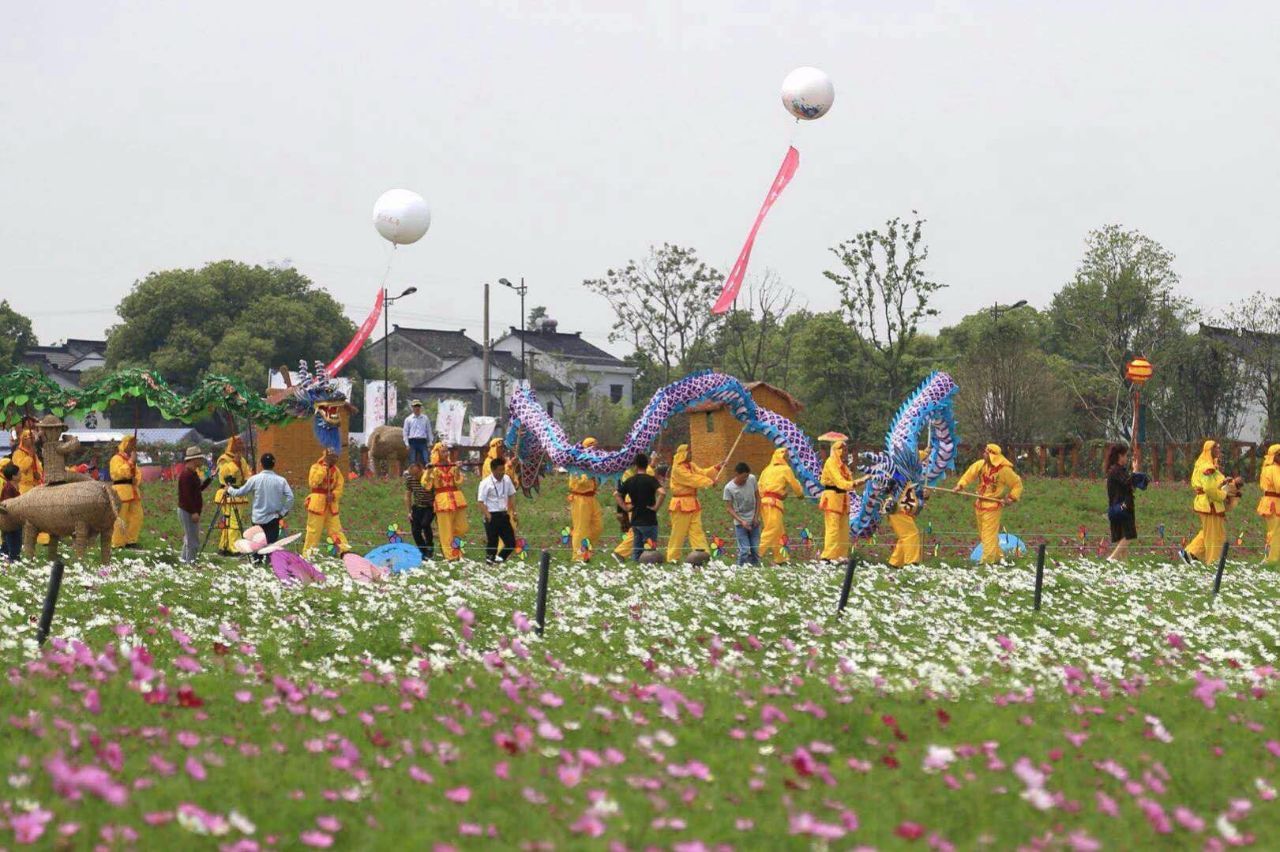 寻芳不必到天涯!湖州南浔石淙这一片治愈系花