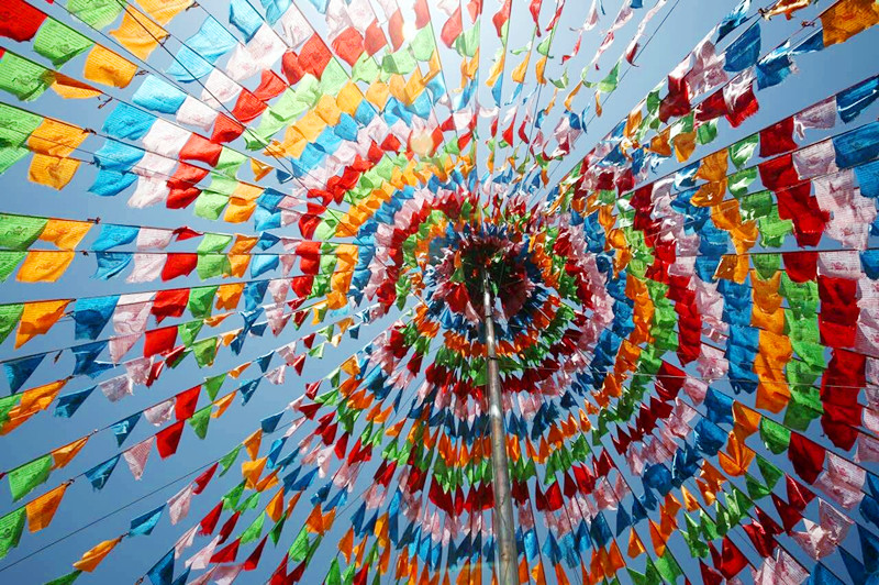 甘南有片神秘草原美如仙境，却会吃牛羊吞没飞机，一般人不敢进入