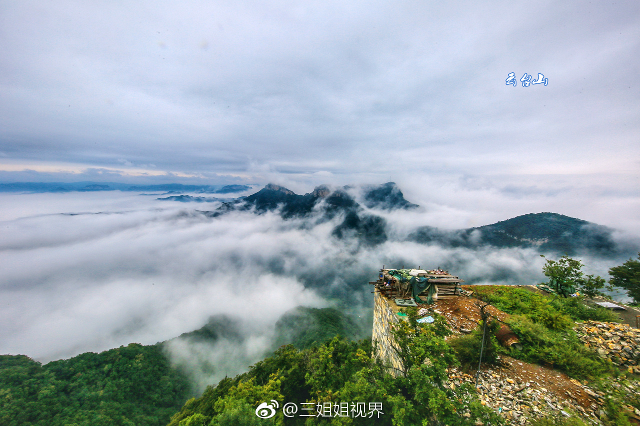 茱萸蜂,河南焦作云台山的最高峰