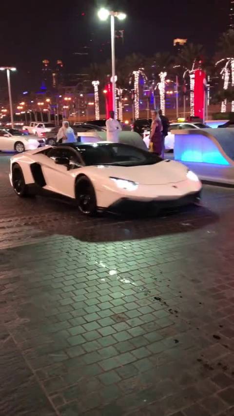 迪拜半个亿的跑车过减速带，这就是我不买跑车的缘故   ​