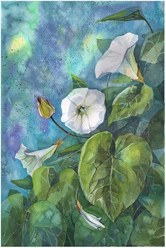 花的水彩画 · 清新,淡雅|kosharik69