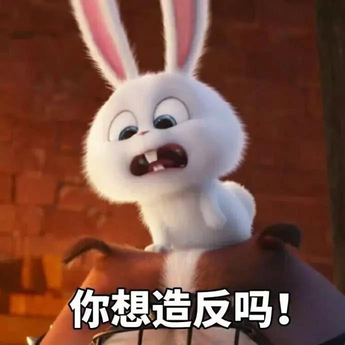 表情包:我的小兔几