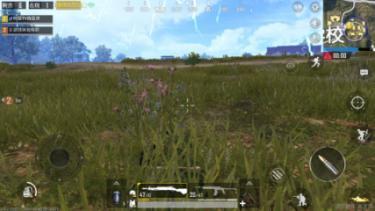 有个熊猫主播告诉我用镰刀割草能做吉利服,竟