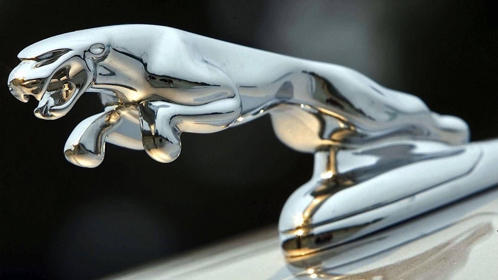 近期“欧系大型三厢车“动态汇总，都在这个专题里