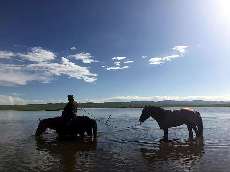 甘南有片神秘草原美如仙境，却会吃牛羊吞没飞机，一般人不敢进入