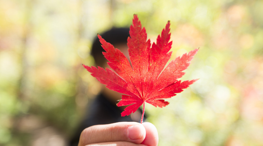生活品质越高的女人,越不会做这些事!