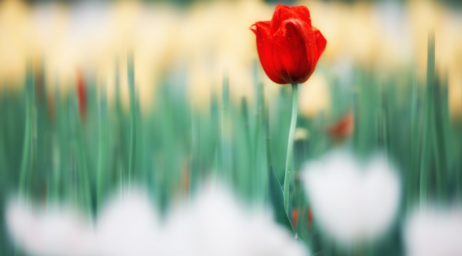 生活品质越高的女人,越不会做这些事!