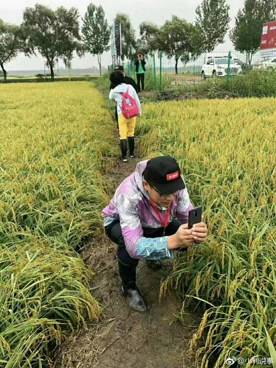 为了寻找安全大米,@于建嵘老师带领一批人马