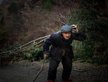 十二首描写乡村生活的古诗词,热爱劳动,看最美