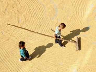 十二首描写乡村生活的古诗词，热爱劳动，看最美诗词