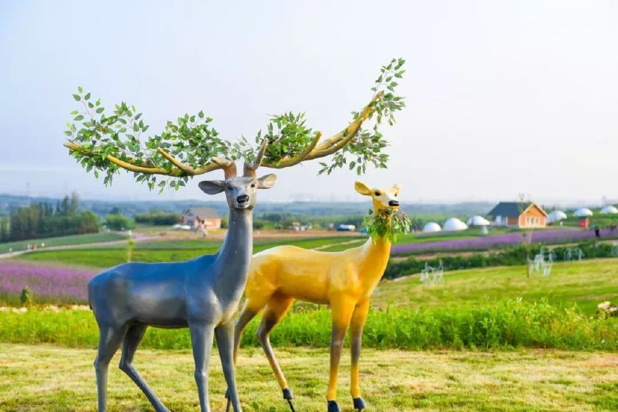 秦皇岛旅游观光火车换颜升级,近期将与公众见