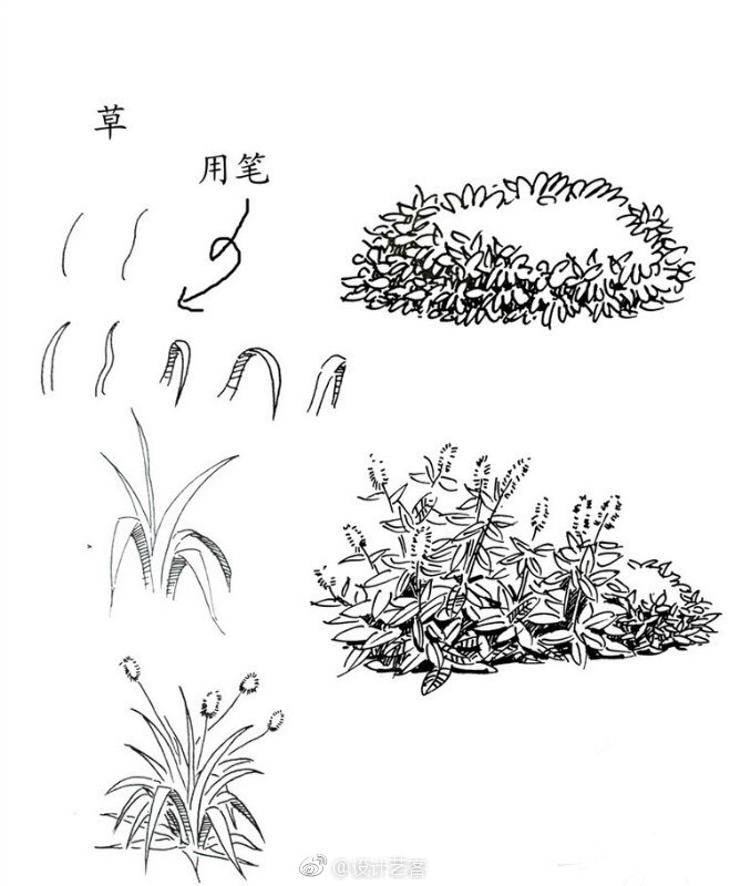绘画灌木的手绘笔法图解