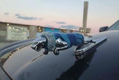 中国车主太会玩车标了，个个都是老司机，最被玩坏的是标致！