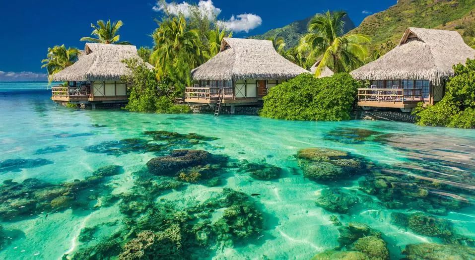 海外生子可拿国籍的国家除了美国加拿大,还有