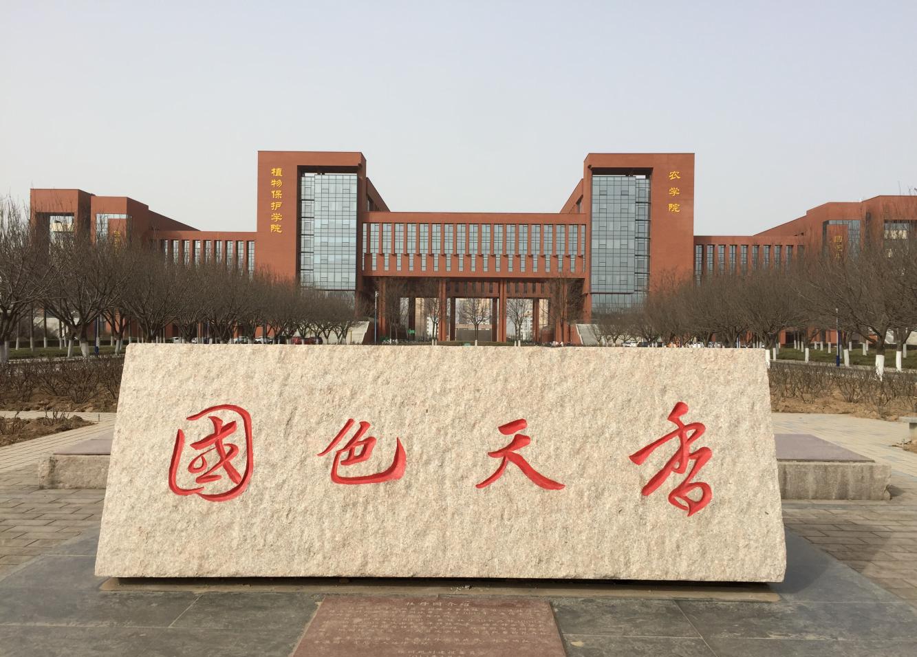 81bb-hcmurvh7792192.jpg