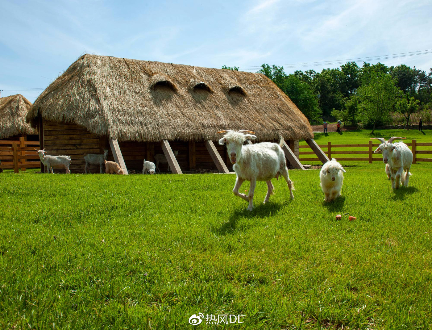 有了三寰,何必再去大草原!20分钟车程,你就能从大连市里到了大草原