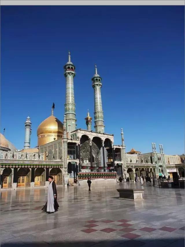 杀人鲸提里库姆的故事 虎鲸表演背后的黑暗真相