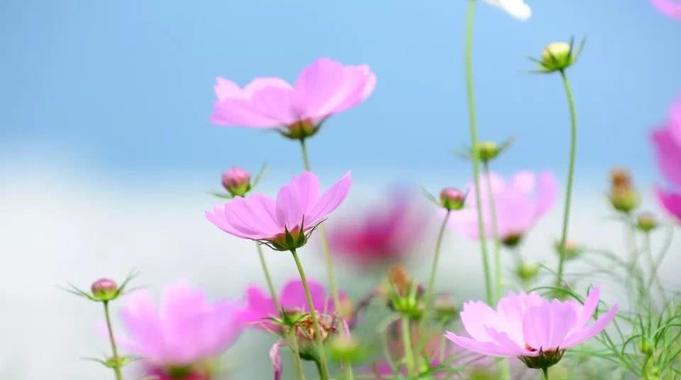 人最好的状态:不念过去,不畏将来