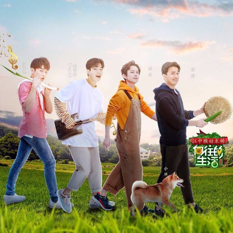 刘宪华粉丝大闹黄磊微博,只因黄磊不该喊偶像