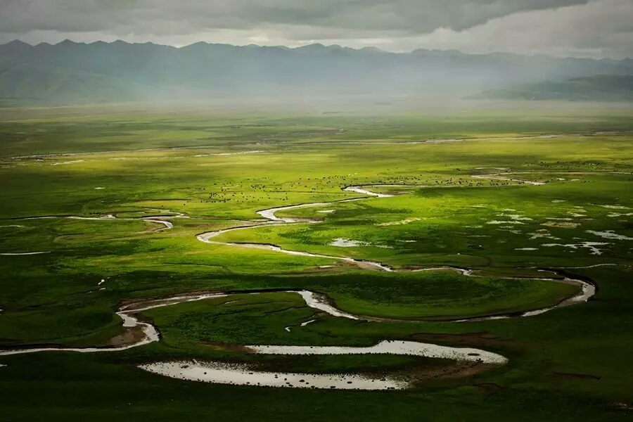 甘南有片神秘草原美如仙境，却会吃牛羊吞没飞机，一般人不敢进入