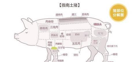 猪肉这个最好的肉部位吃,如果你在菜市场买黑胡椒粉去腥吗图片