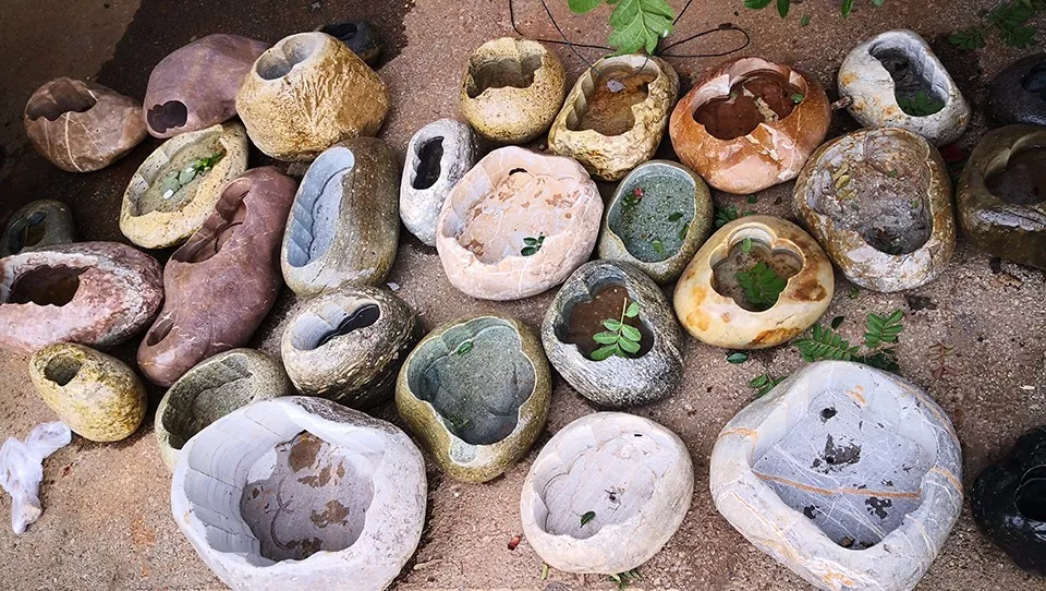 求喝了毒药盘子也别剩下的汉化小说?