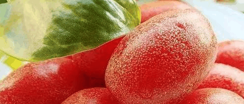 中国特有的这些野生奇葩水果, 全吃过算你牛