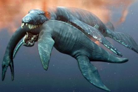 很多史前海洋生物盘点文章把上龙和滑齿龙等生物并列,其实大错特错